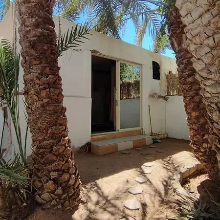 Appartamento Palm House